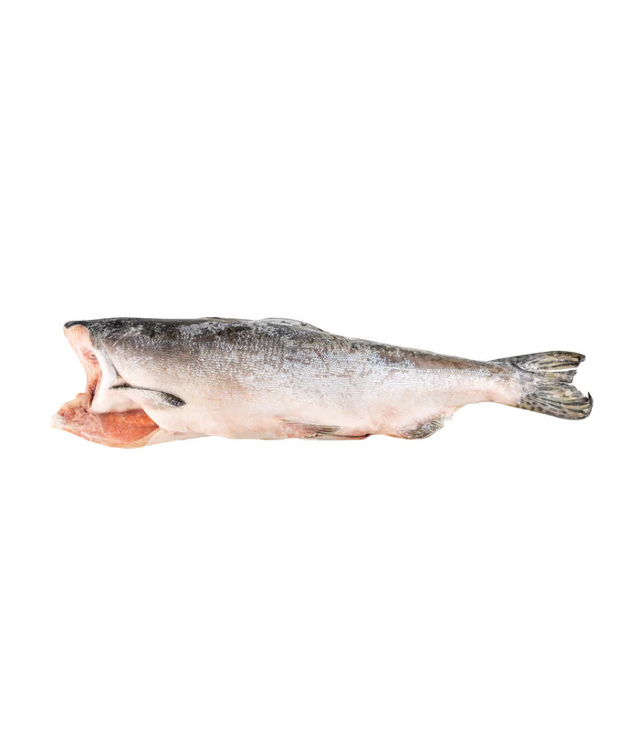 vg-sf-frzf-4.jpg Pink (Hump-Back) Salmon - الصورة 1