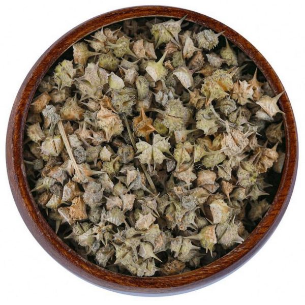 عشبة الحسك Tribulus